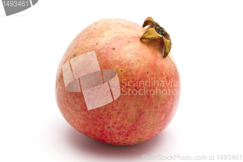 Image of Pomegranate