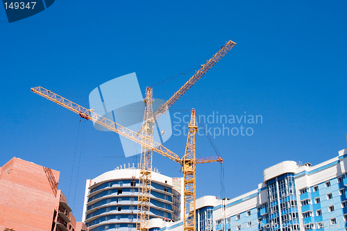 Image of Two yellow cranes