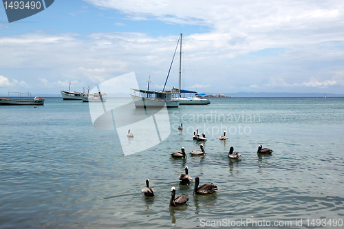 Image of Boats