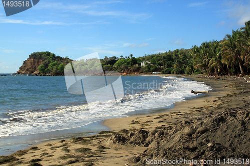 Image of Caribean coast