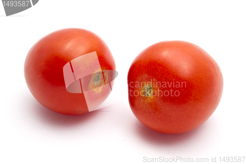 Image of Fresh tomatoes 