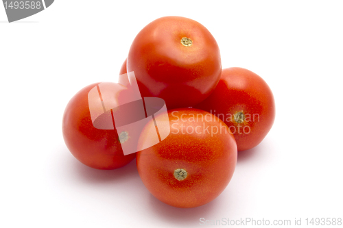 Image of Fresh tomatoes
