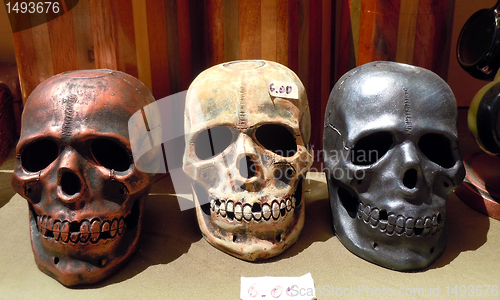 Image of Skulls