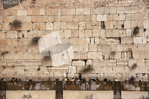 Image of Praying near western wall