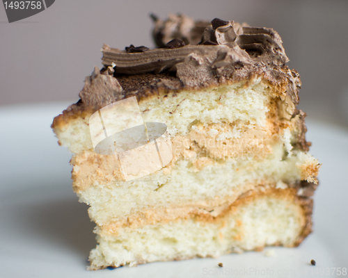 Image of delicious biscuit cake on plate