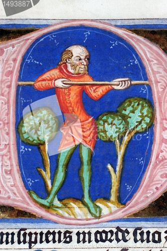 Image of Holy Bible Book