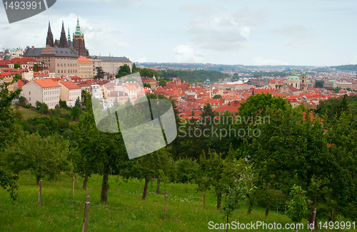 Image of Prague Castle