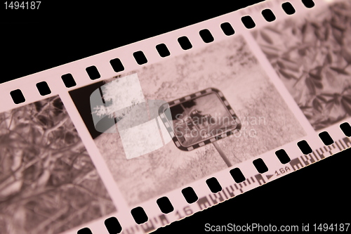 Image of negative film