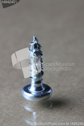 Image of the screw