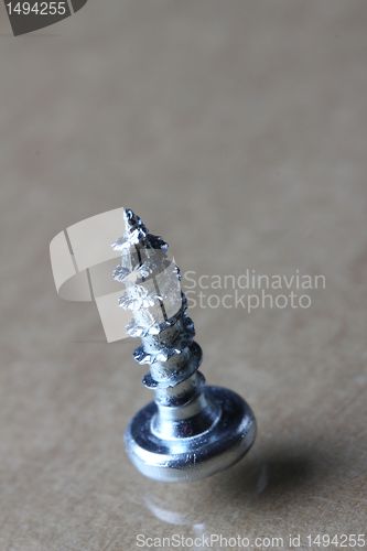 Image of the screw