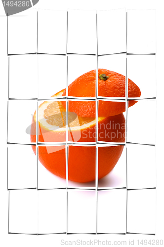 Image of orange 