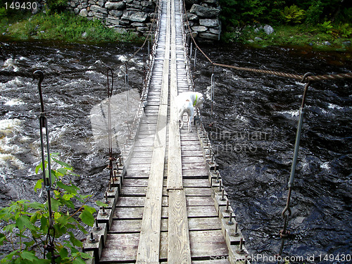 Image of Suspension Bridge 2