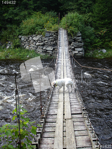 Image of Suspension Bridge 5