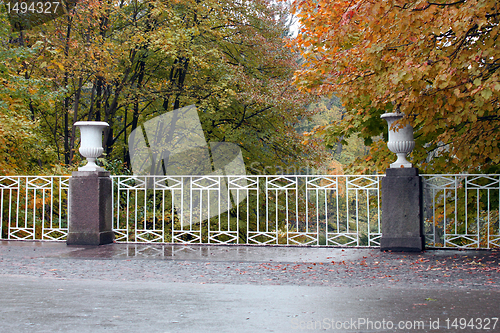 Image of autumnal park