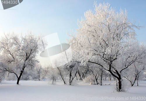 Image of park at winter