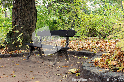 Image of bench in park