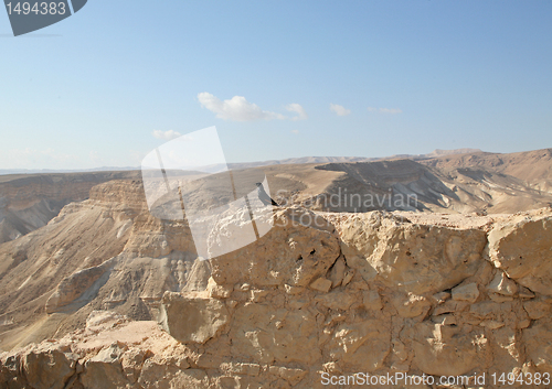 Image of Bird in the Masada fortress in Israel
