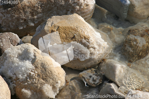 Image of The big crystal of salt of Dead Sea