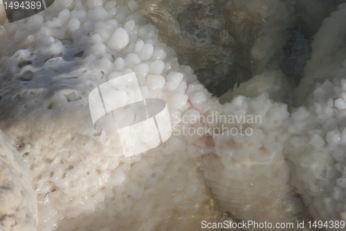 Image of The big crystal of salt of Dead Sea