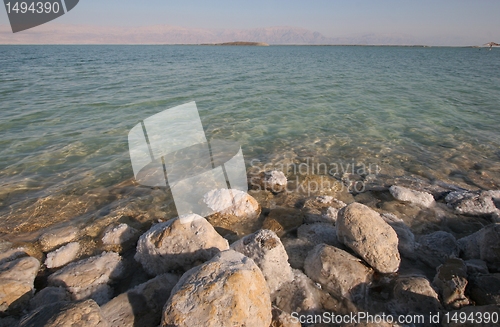 Image of The big crystal of salt of Dead Sea