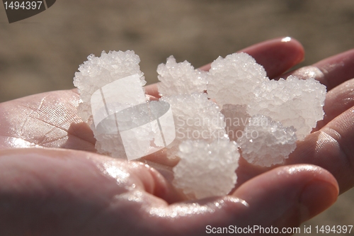 Image of The big crystal of salt of Dead Sea