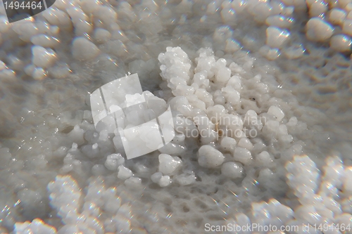 Image of The big crystal of salt of Dead Sea