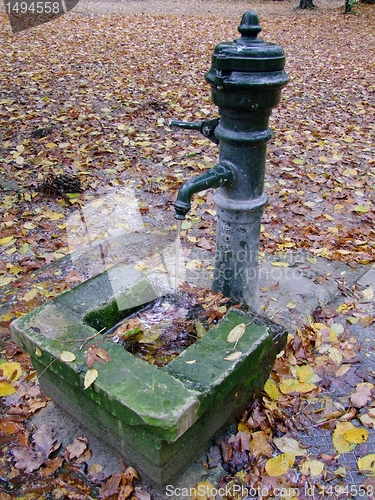 Image of Water pump in the park