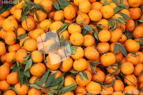 Image of Oranges