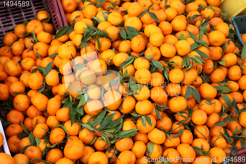 Image of Oranges