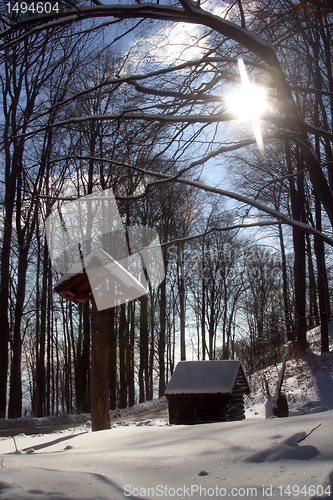 Image of Snow covered forest, Sljeme, Zagreb, Croatia