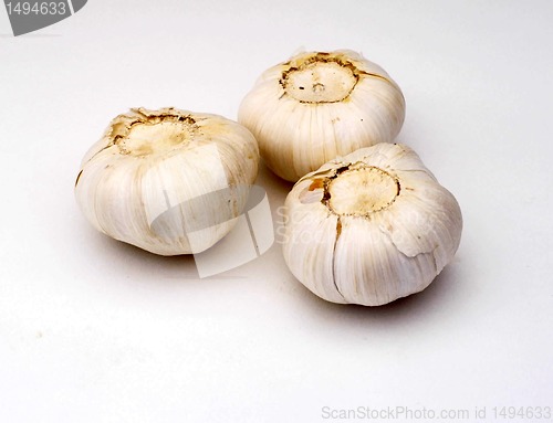 Image of garlic 