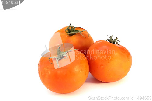 Image of Fresh tomatoes