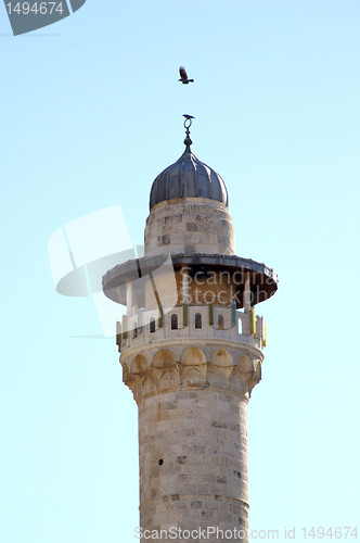 Image of raven over a minaret