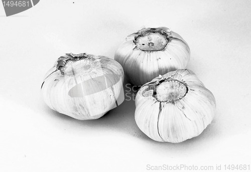 Image of garlic 
