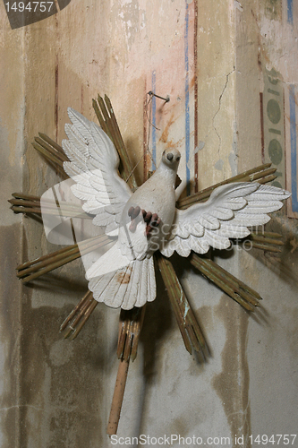 Image of Holy Spirit Bird