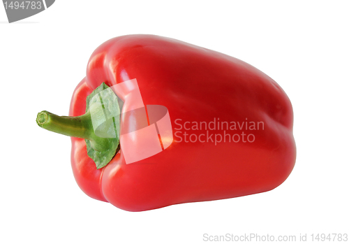Image of Red Paprica