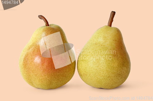 Image of Two Pears