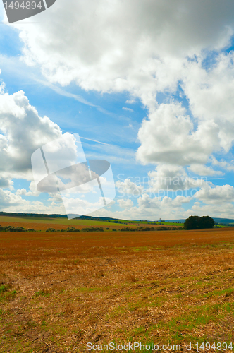 Image of Harvested Field