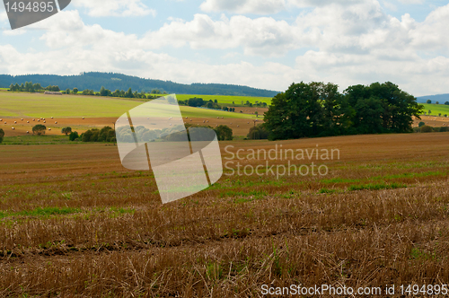 Image of Rural Landscape