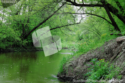 Image of river in forest