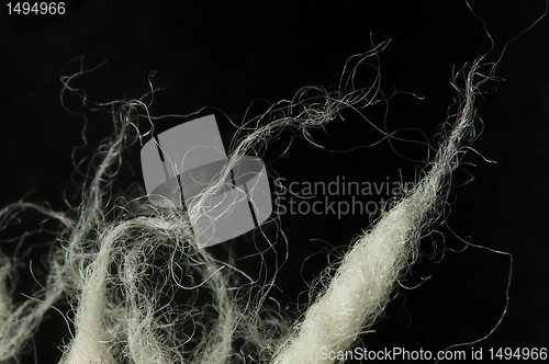 Image of Wool fibers