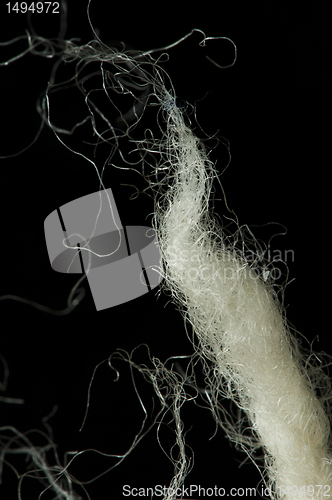 Image of Wool fibers