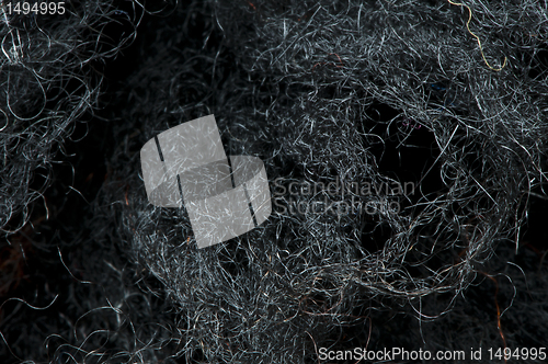 Image of Wool fibers