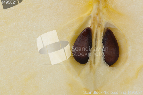 Image of Cut apple closeup background