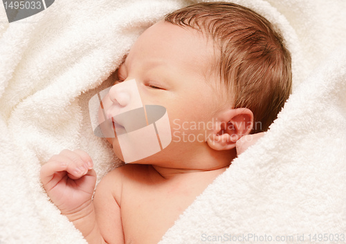 Image of newborn