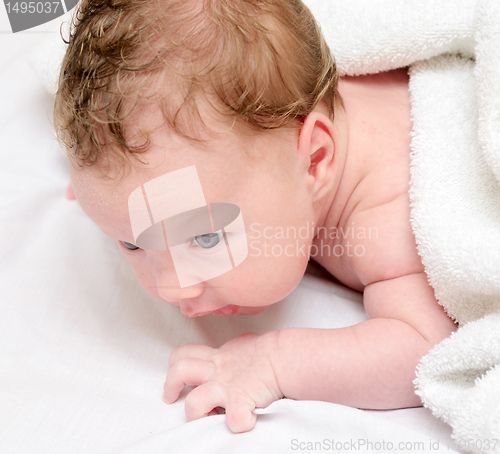 Image of newborn
