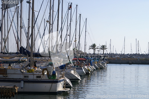 Image of Yachts in Herzlia marina