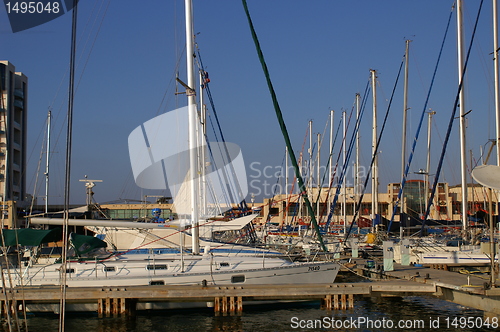 Image of Yachts in Herzlia marina