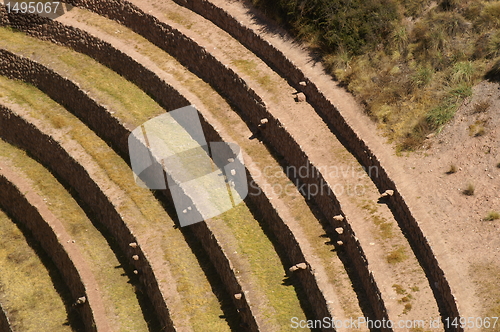 Image of Inca ruins