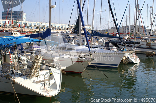 Image of Yachts in Herzlia marina